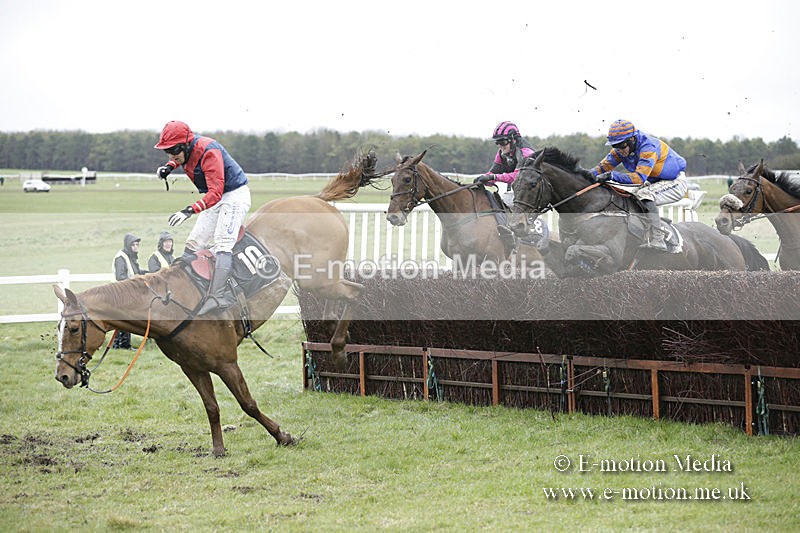 PtP 150320 0227 - New Forest Point-to-Point Larkhill 15/03/20