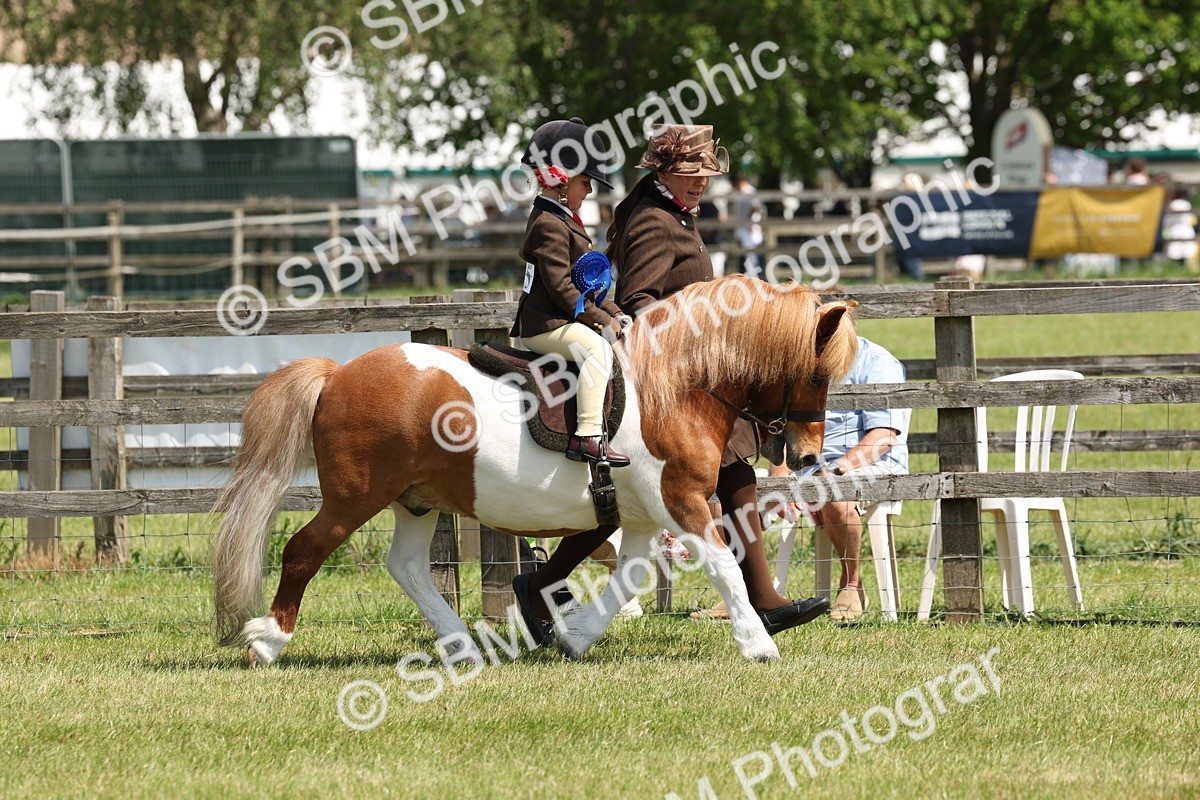 SBM_05402 - Class 24-25 - Mountain & Moorland In Hand Lead Rein and First Ridden