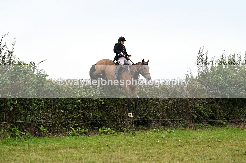 WJ7_4202 - Camera 1 Line 2