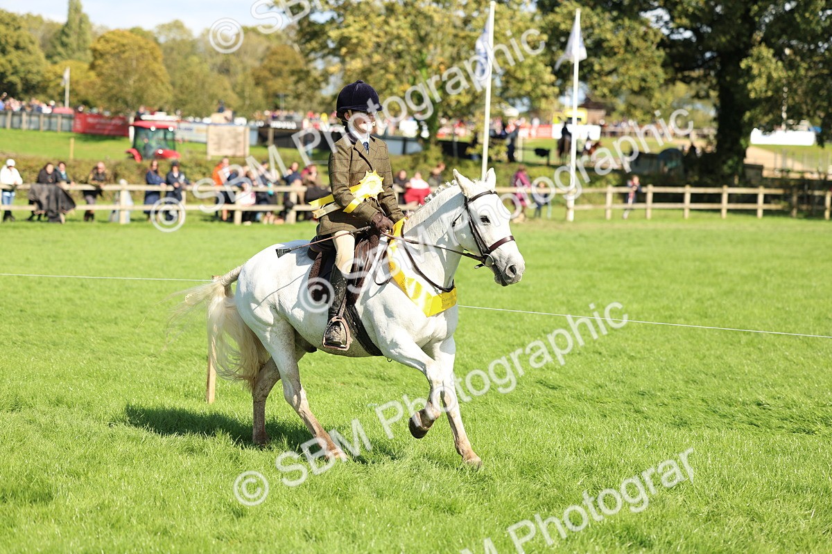 SBM_45467 - S33 - Working Hunter Pony