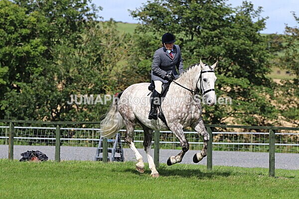 SIAL6956 - Ring 1 & 3