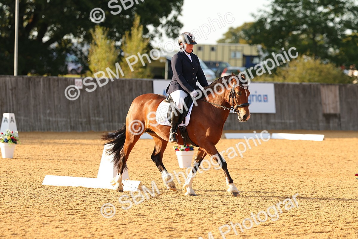 SBM_54498 - D12 - Small Tour Championship - Prelim 18