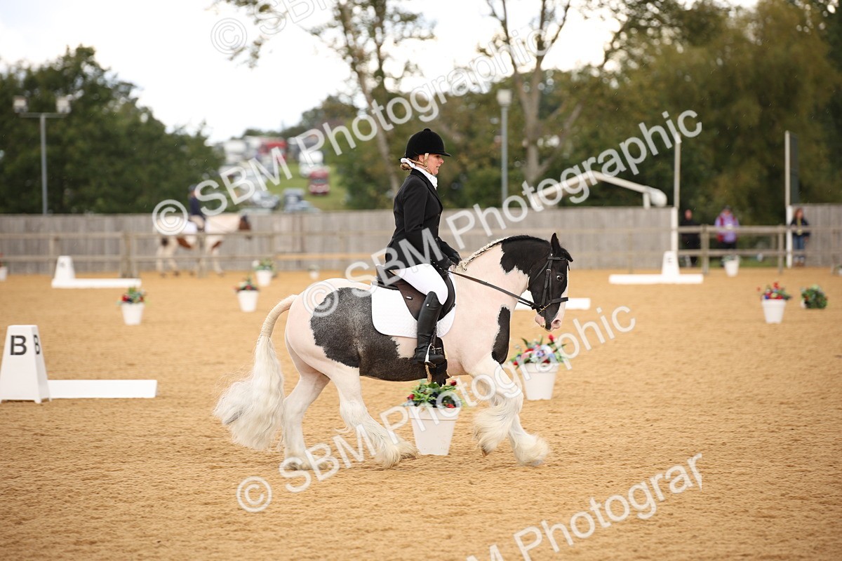 SBM_08933 - D8 Small Tour Championship Prelim 7