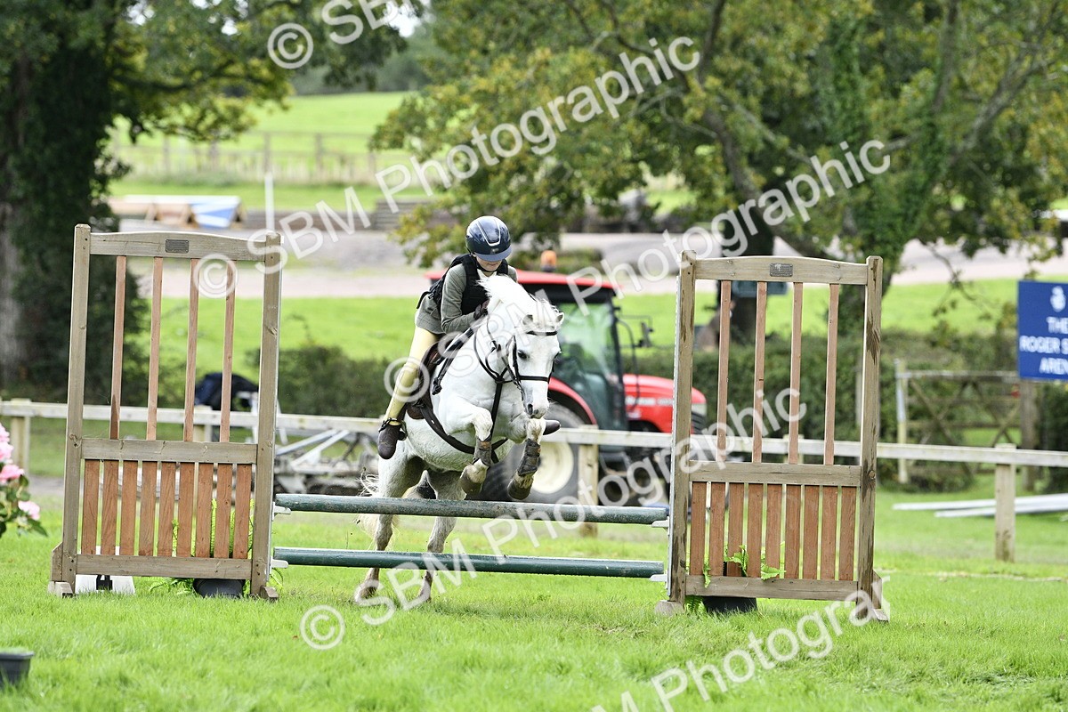SBM_41280 - S32 - Mountain & Moorland Working Hunter Pony