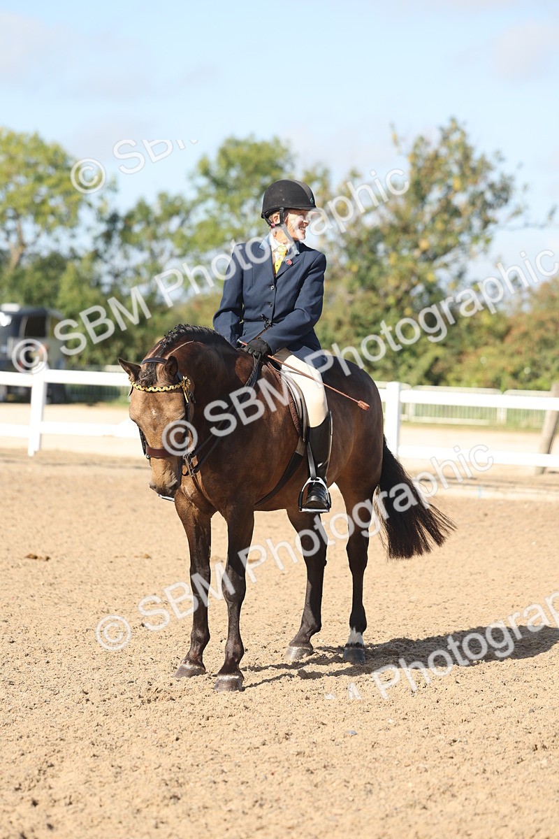 SBM_22322 - Class 803 - Ridden Combination 65+