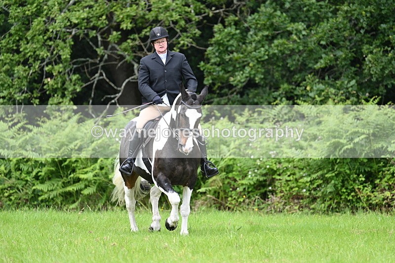WJ7_2068 - Class 12A Coloured Class