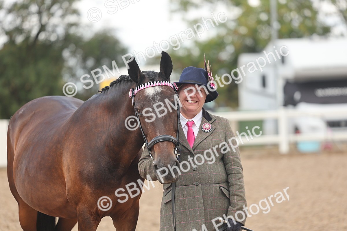 SBM_04330 - Class 17 - Prettiest Mare (IH or Ridden)