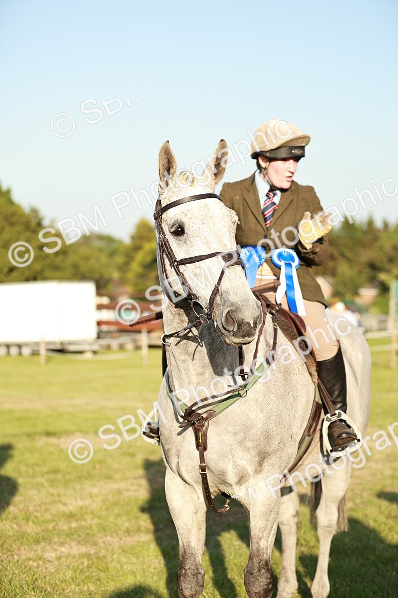 SBM_20579 - Class 117-119 - Sport Horse Working Hunter