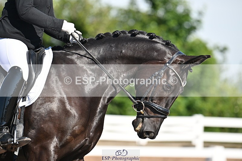 240621A-092009-01177 - Cls 1 BD Prelim 15