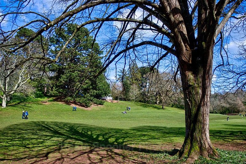 Looking towards the cricket pavilion - Cockington
