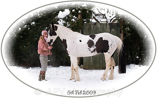 Fun In The Snow - Horses'n'Ponies