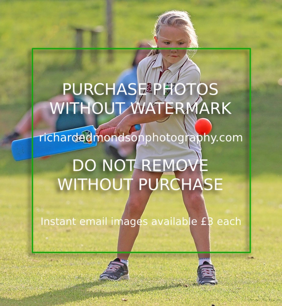 IMG_1384 - Select Cricket Images (May)