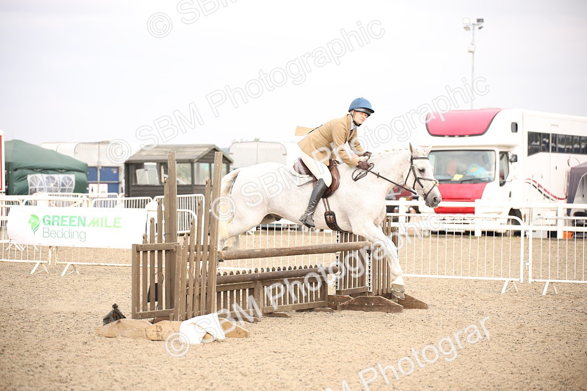 SBM_17352 - Class 410b - Working Veteran 90cm (20+)