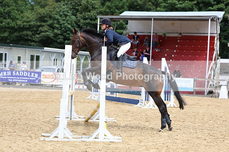 3E7A0135 - Class 9: Senior British Novice/90cm open