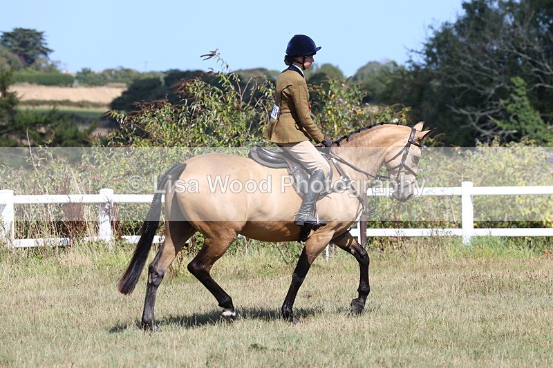 3E7A6346 - Working Hunter Championship