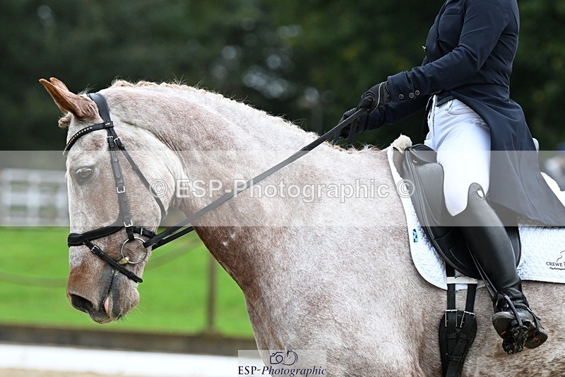 231019-112058-01791 - 038-IRISH.KONNECTION-Natasha.Anson-DR