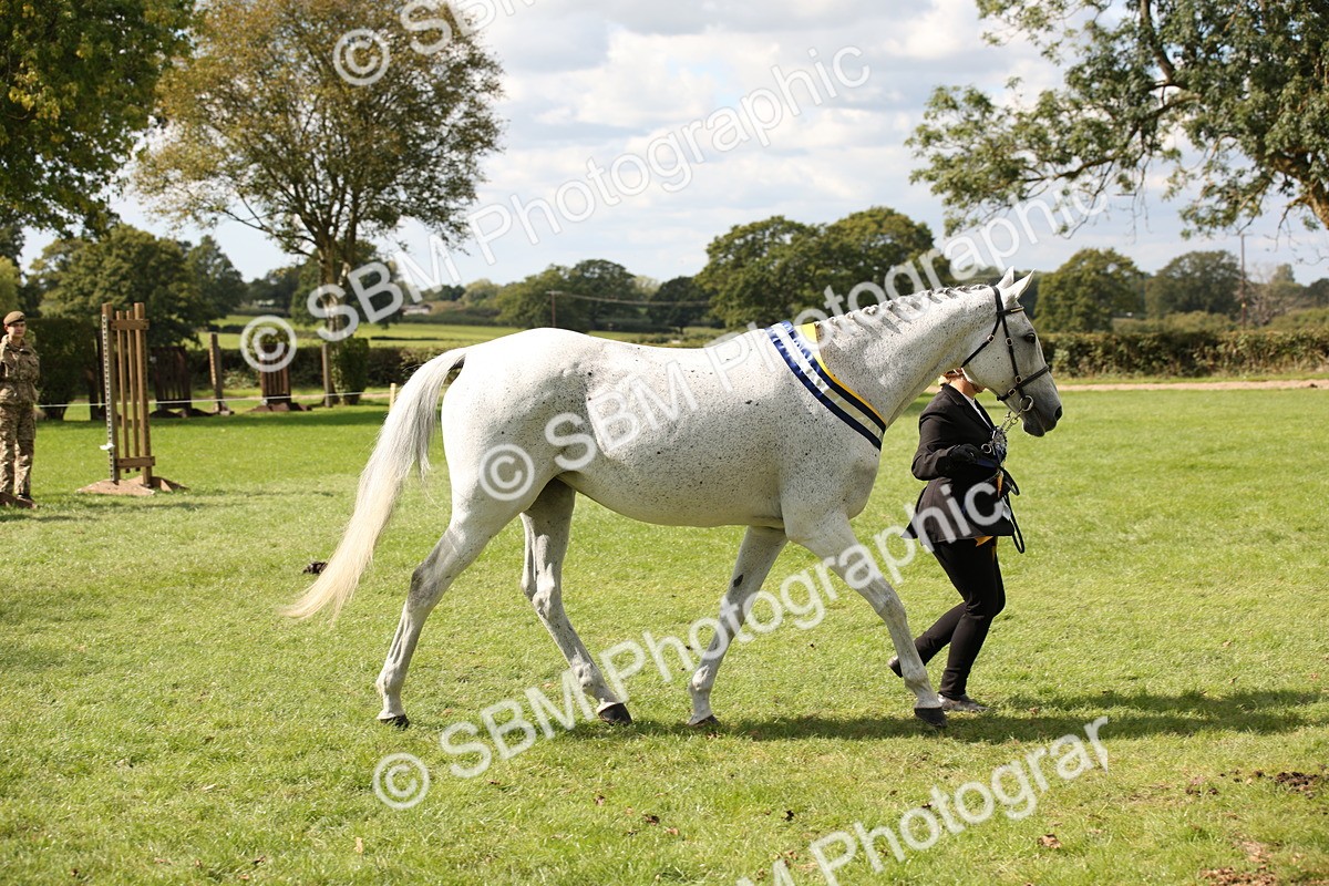 SBM_40935 - Fun Showing Supreme Championship