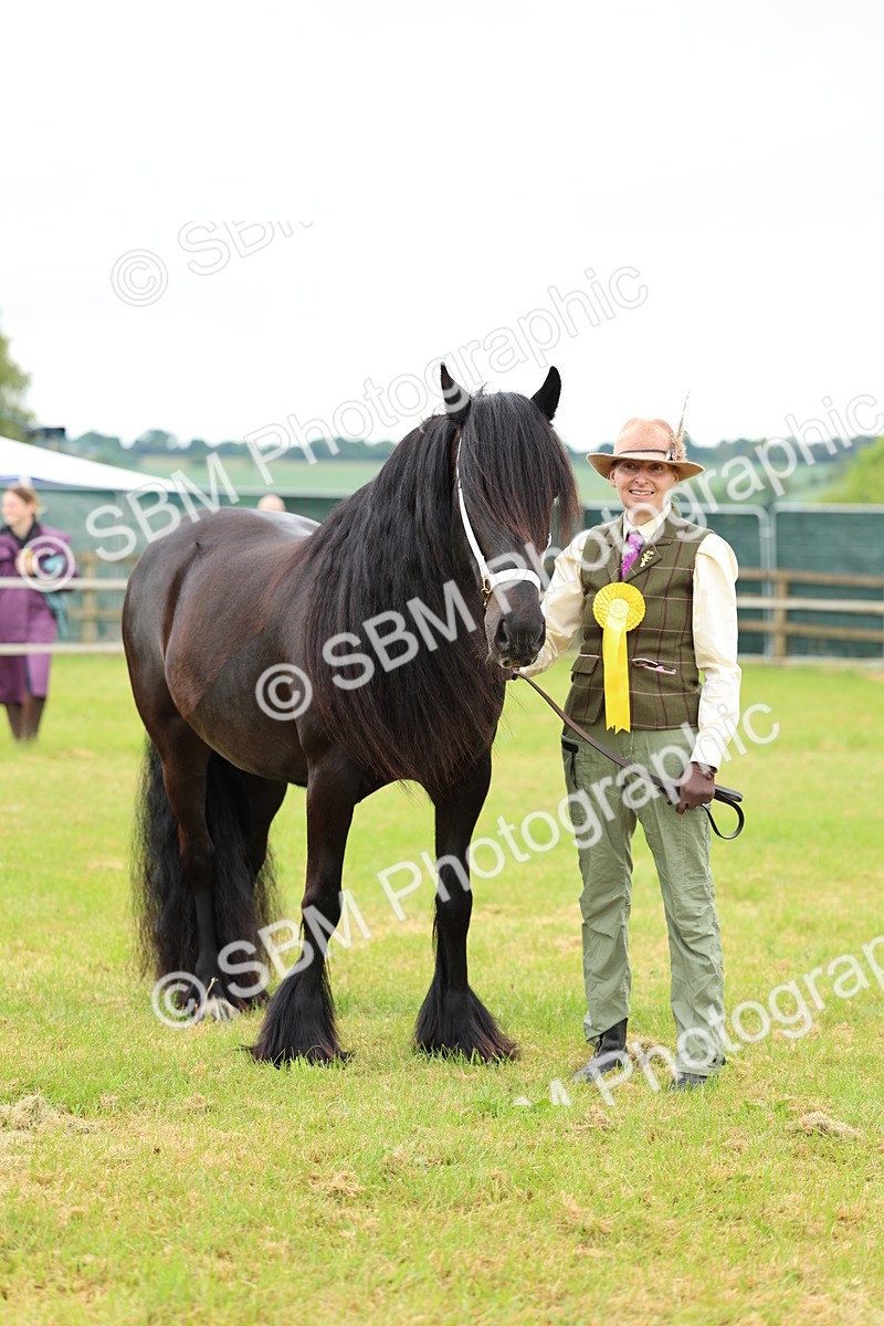 SBM_00578 - Class 58-67 - M&M Non Welsh Pony In hand