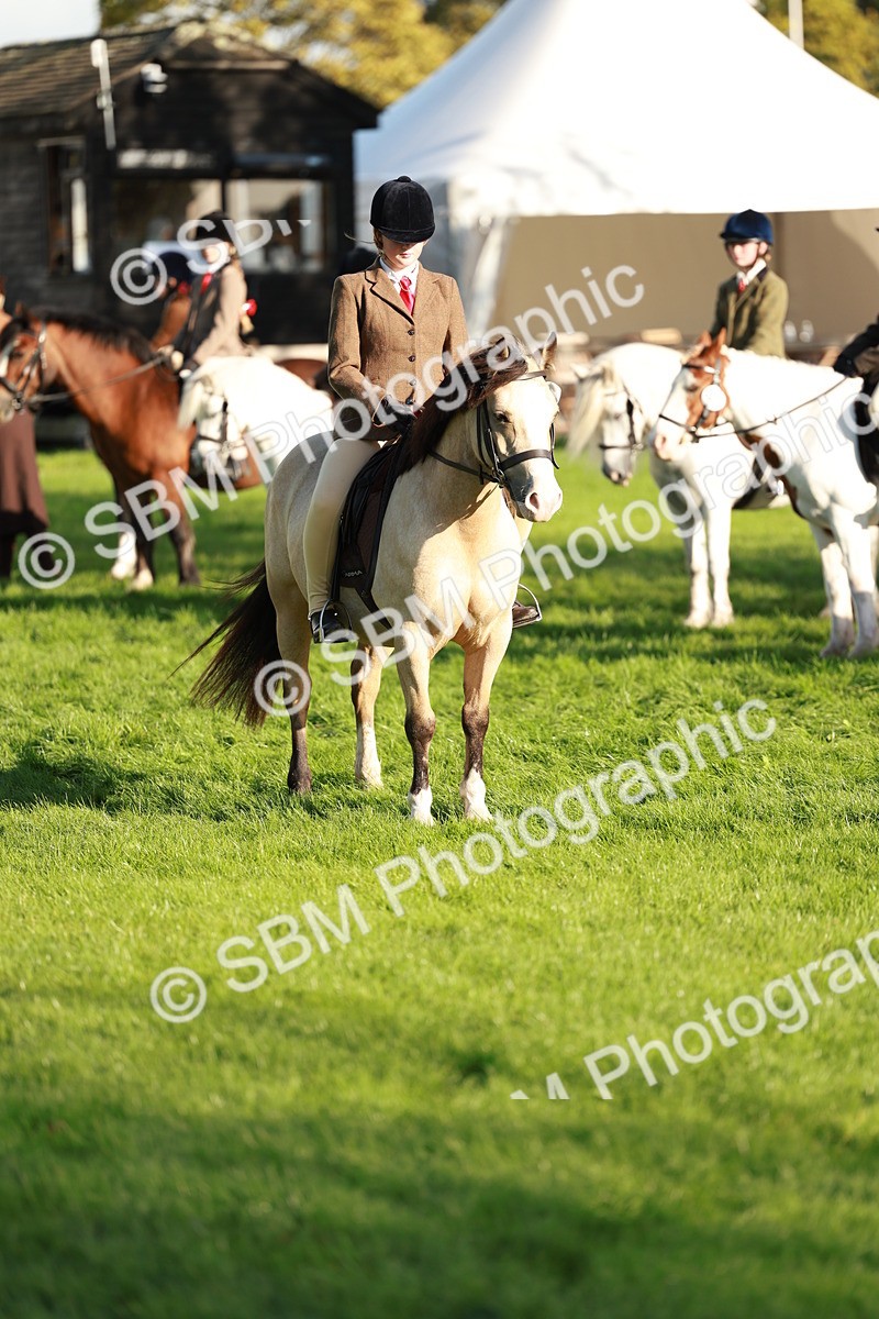 SBM_28744 - S7 - Novice & Newcomer Ridden Pony