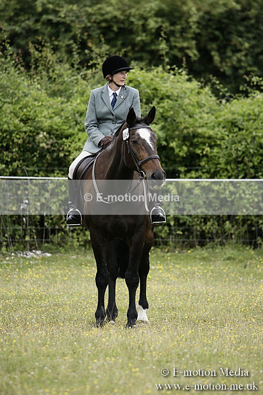 BVR160717-1362 - Ring 1 BVRC Show 16/07/17