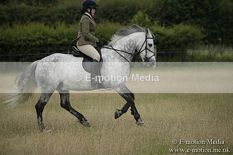 B230619-0134 - Bourne Valley Riding Club Summer Show 23/06/19