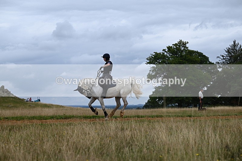 DSC_5575 - Time at Statue 11:46 to 12:16