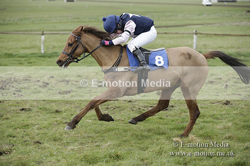 PtP 150320 0791 - New Forest Point-to-Point Larkhill 15/03/20