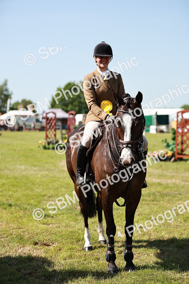 SBM_18471 - Class 112-113 - BSPS LIHS Working Sports Pony