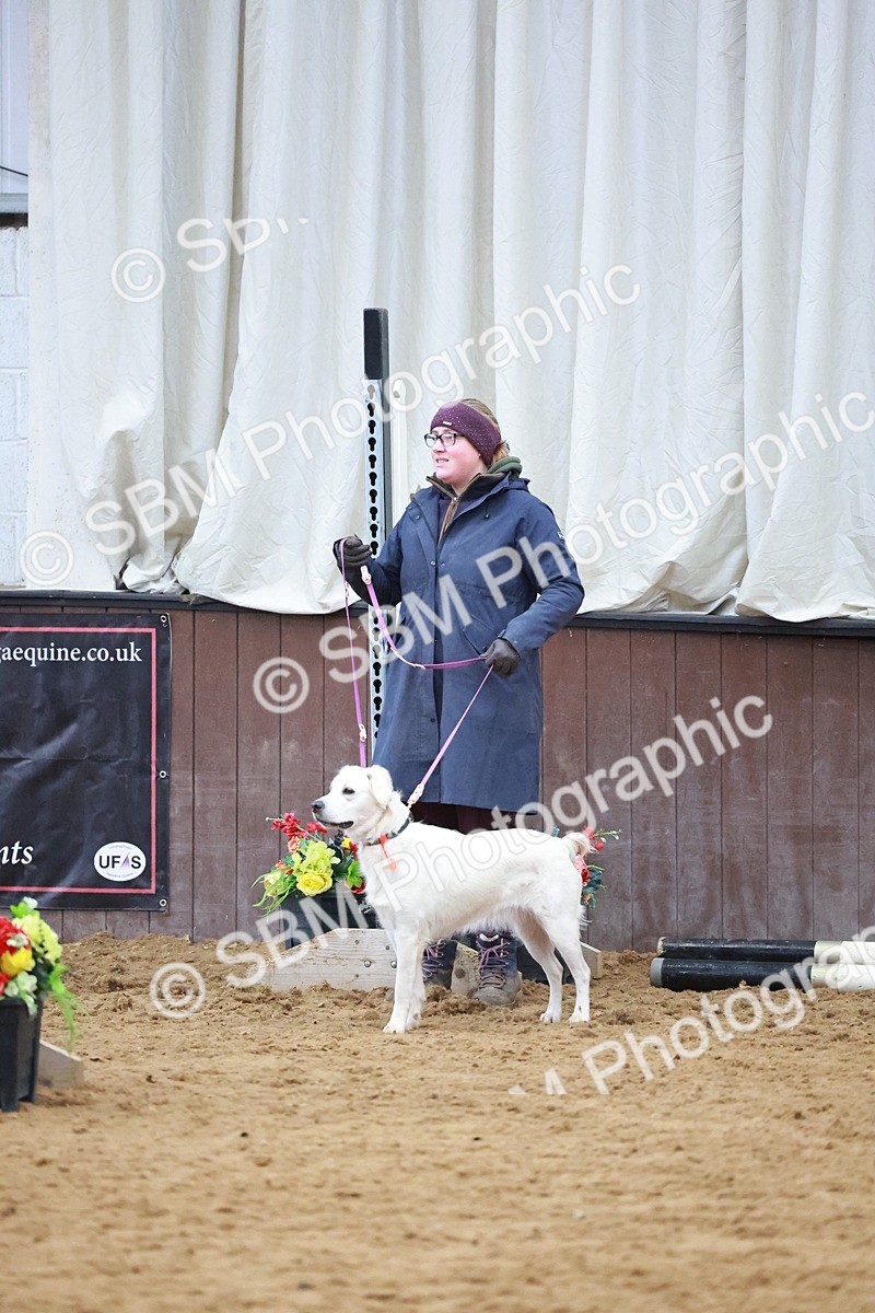 SBM_001669 - Class 3 - Horse & Hound (60cm)