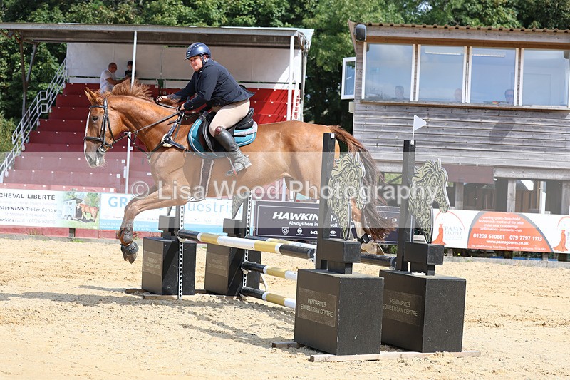 3E7A3526 - Class 4: Senior British Novice/90cm open