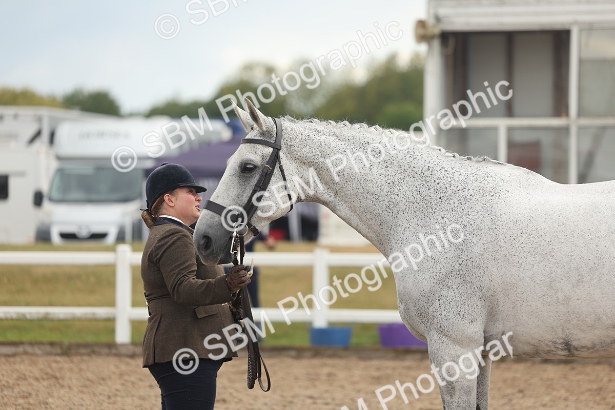 SBM_07927 - Class 28 - IH Veteran Horse