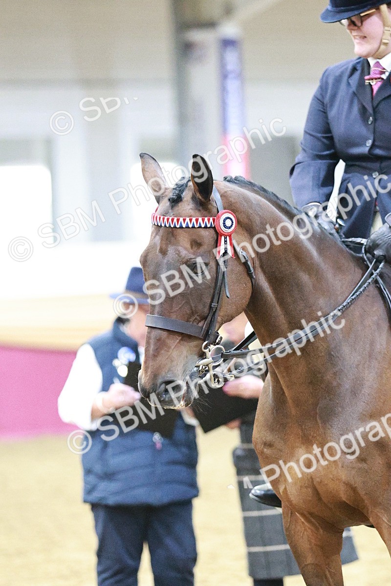 SBM_08154 - Class 11R - Regional Ridden Veteran