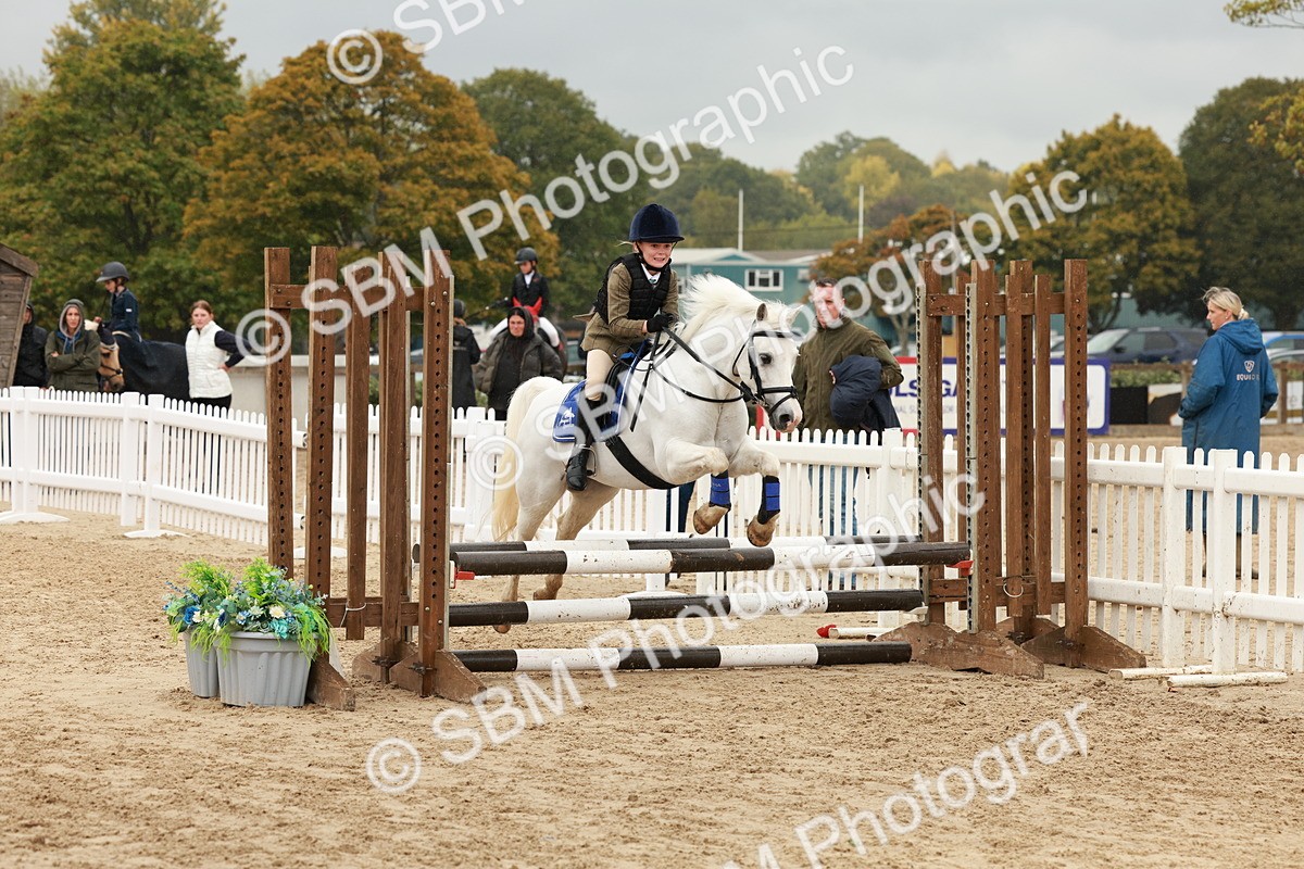SBM_69251 - J13 - Junior Pony 60cm Championship