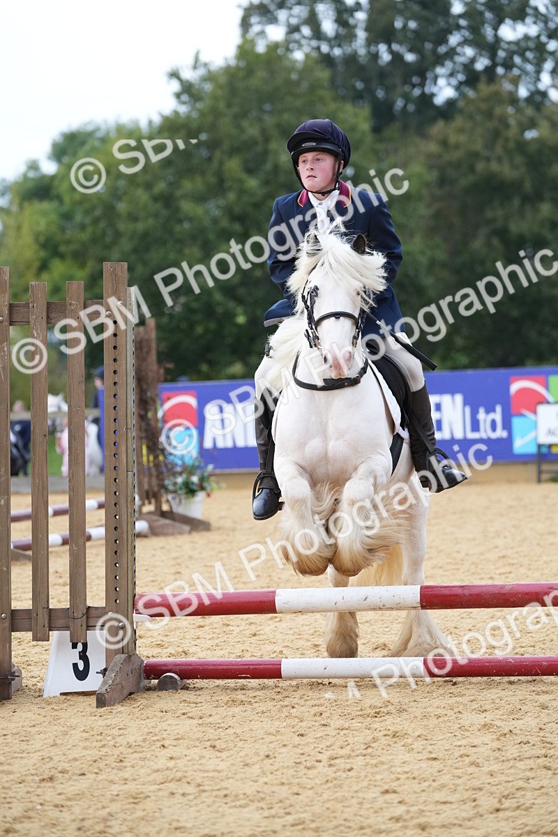 SBM_74883 - J4 - Mini Tour Junior Pony 45cm Championship