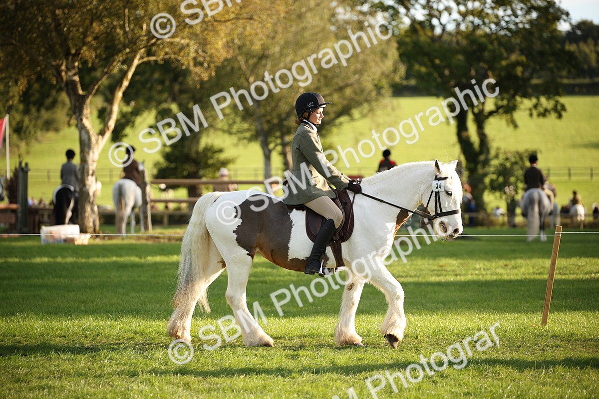 SBM_54378 - S27 - Mature Veteran - Ridden