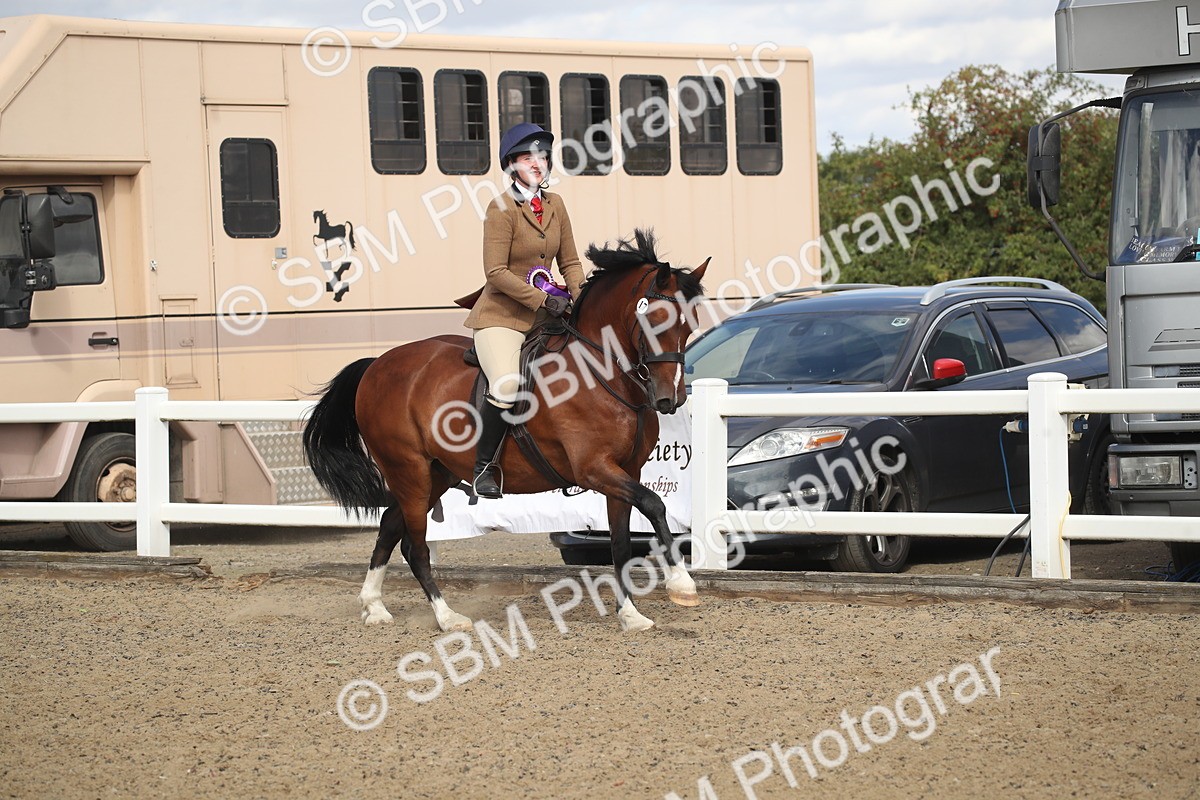 SBM_14623 - Class 505a - M&M Working Veteran - 50cm (15-19)