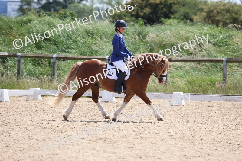 20250614-0762 - Class 4 - Novice 2