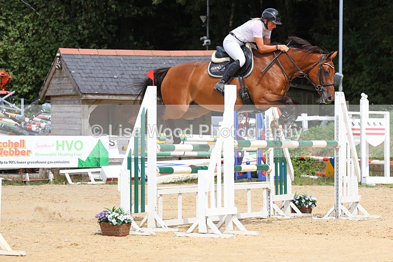 3E7A4264 - Class 8: Senior Foxhunter/1.20 open