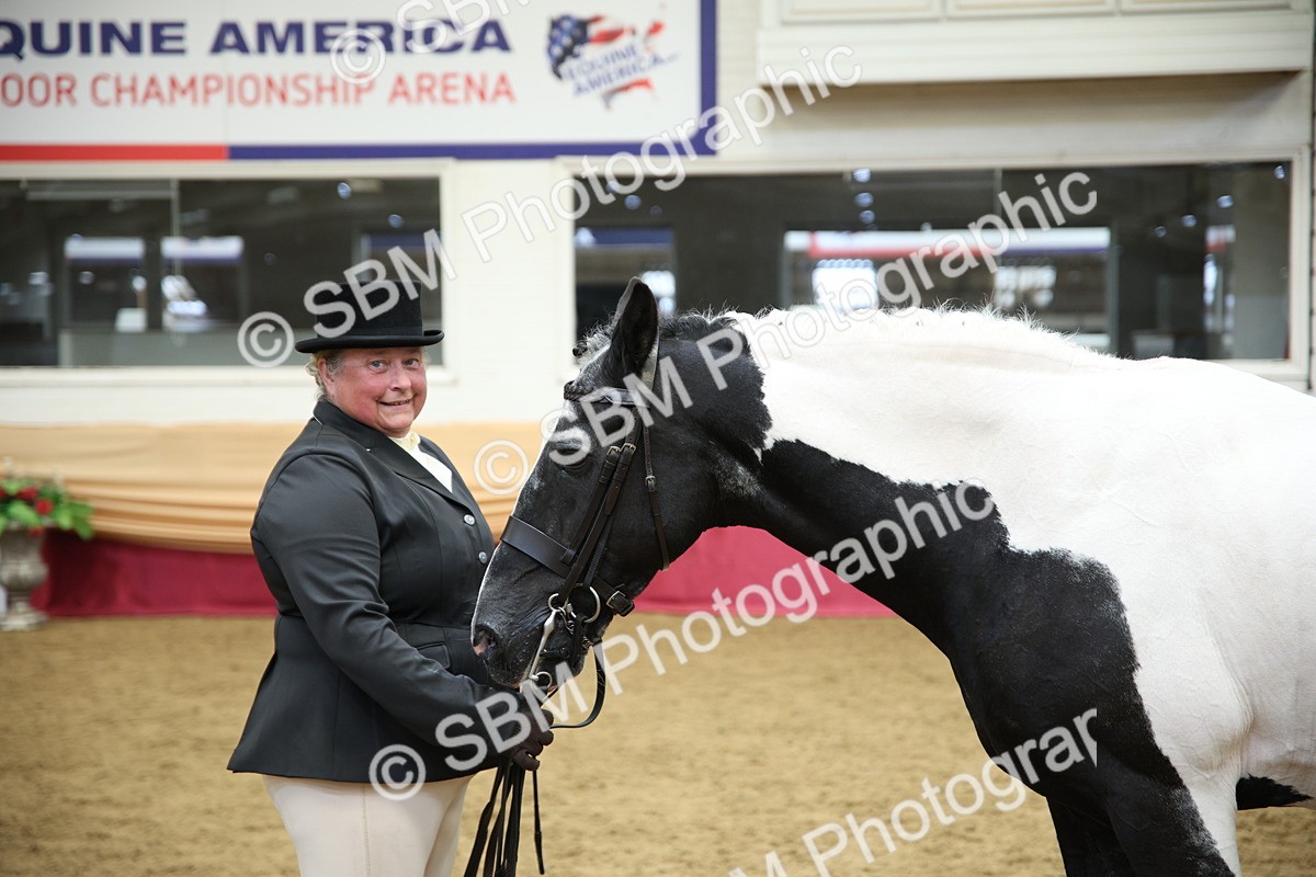 SBM_23408 - Class 904 - Supreme Final Ridden Diamond