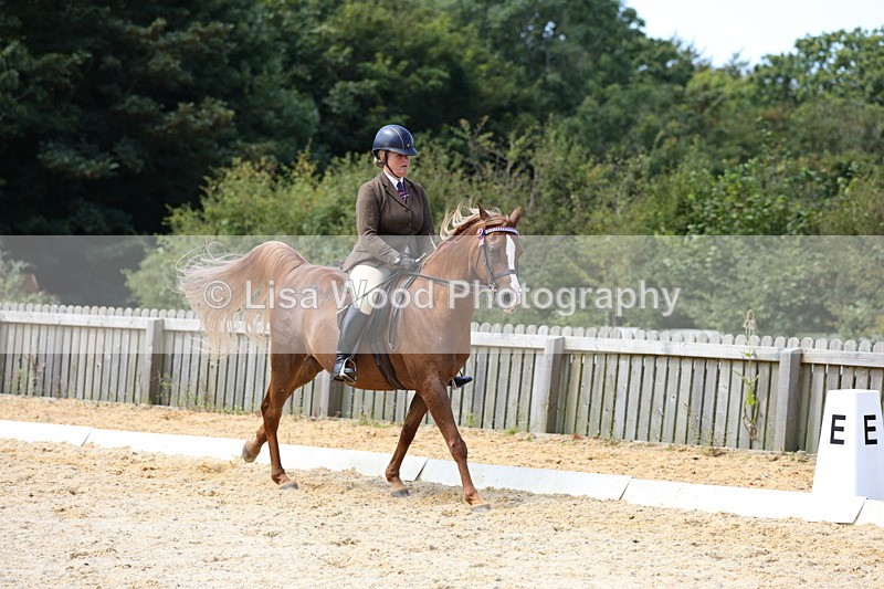 1X9A8346 - Class 13: Arab Ridden