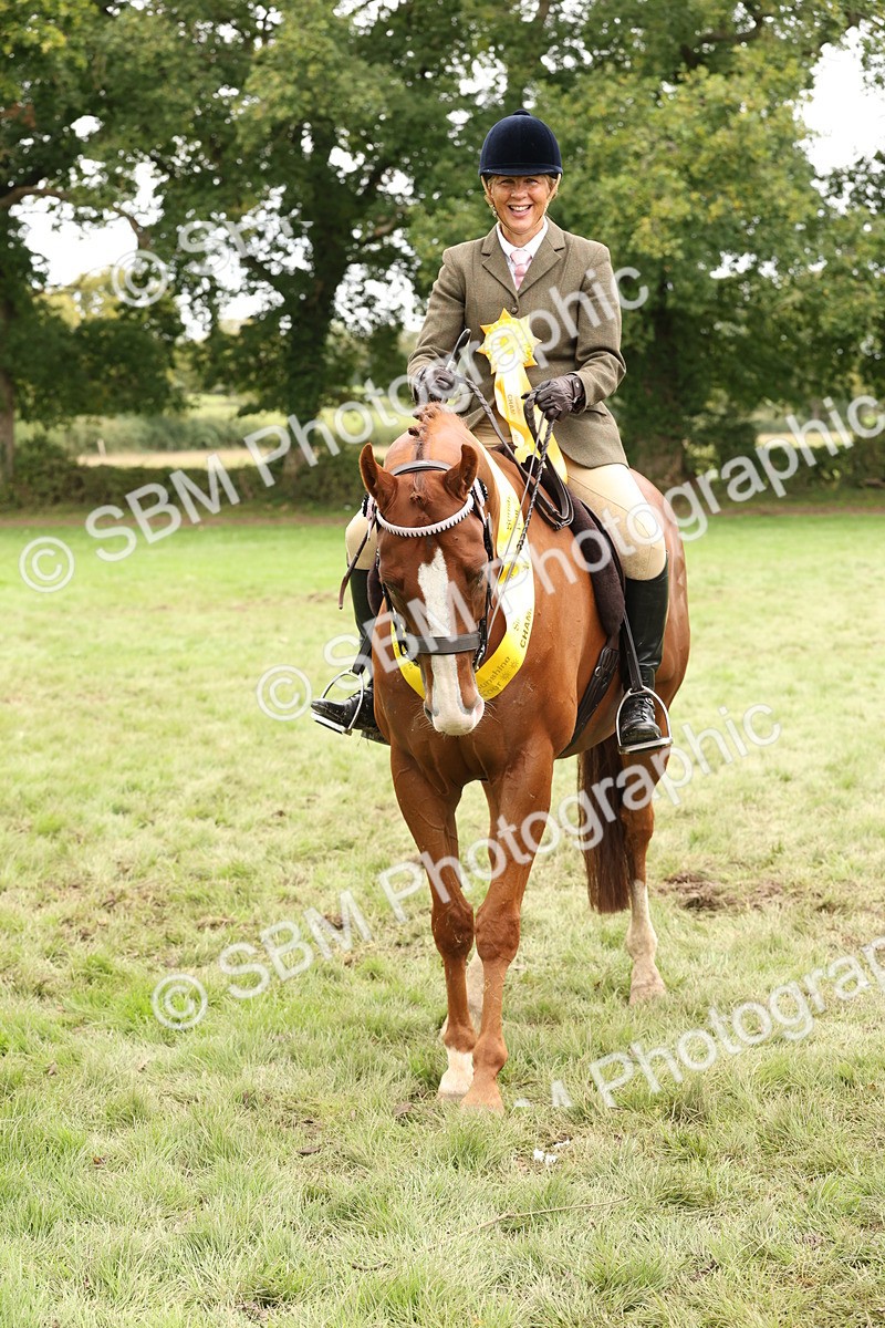 SBM_64333 - S65 - Riding Horse & Hack & Thoroughbred Ridden