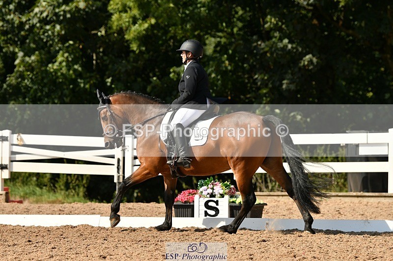 250817-161021-11502 - 049-Carolyn.GaleNewtown.Ringo