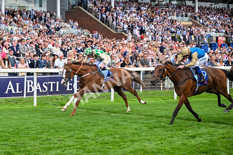 220826-Race 4-Daiquiri Bay-0446 - Race 4 15.35pm Sky Bet Ebor Handicap