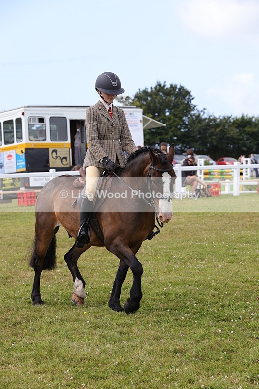 1X9A4073 - Class 32: Show Hunter Pony 153cm and under