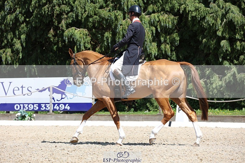 230526-140050-06437 - 370-DUKE_LEGACY-William_Fox-Pitt-WEDTrotUp+DR