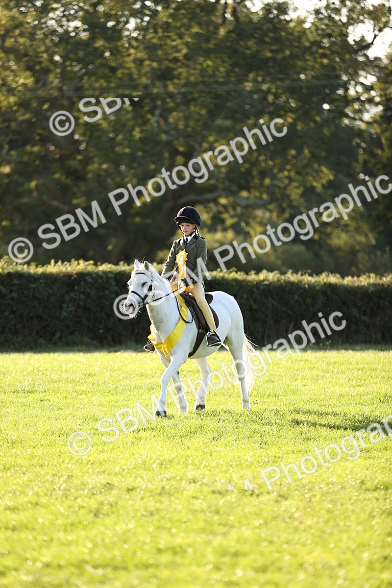 SBM_30115 - Novice & Newcomers Supreme Championship