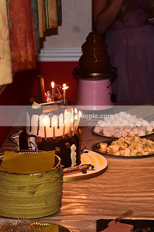 SHN-711 - Shannon's 21st