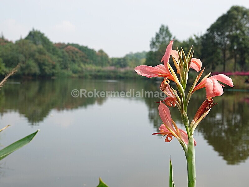 CHINA__0108 - China 2019