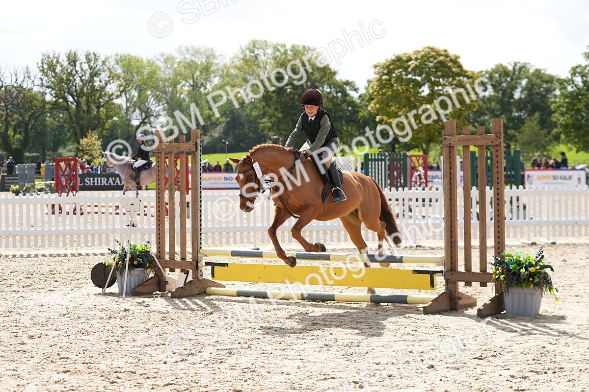 SBM_40781 - Supreme Championship Pony 50-55cm