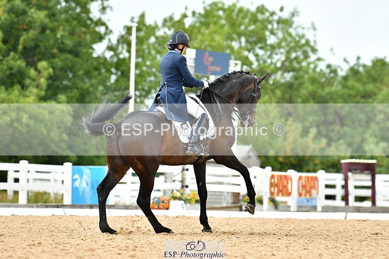 230702A-162008-11180 - Cls 37 + 42 FEI PSG + GP